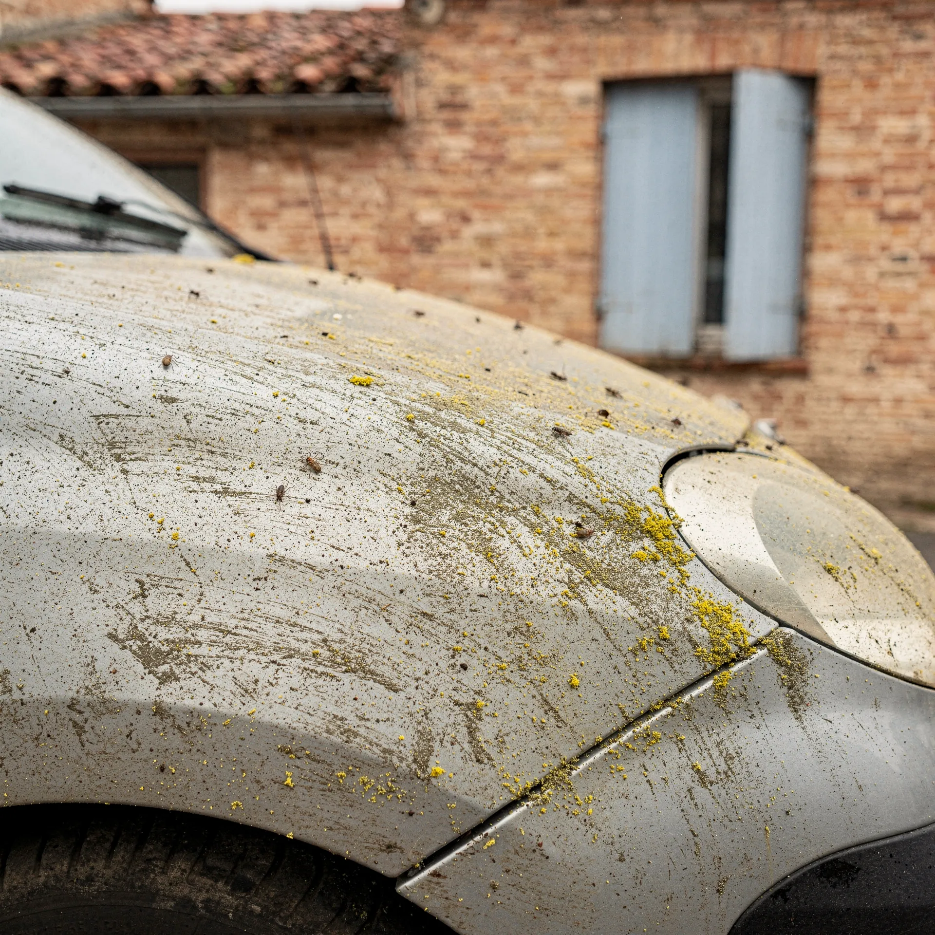 Voiture avant nettoyage